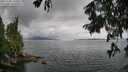 ./images/koeye/fitz-hugh/20250806/fitz-hugh20250806_134509M.jpg