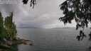 ./images/koeye/fitz-hugh/20250806/fitz-hugh20250806_135511M.jpg