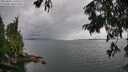 ./images/koeye/fitz-hugh/20250806/fitz-hugh20250806_140011M.jpg