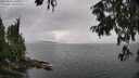 ./images/koeye/fitz-hugh/20250806/fitz-hugh20250806_145010M.jpg
