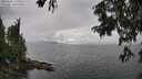 ./images/koeye/fitz-hugh/20250806/fitz-hugh20250806_145508M.jpg