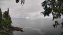 ./images/koeye/fitz-hugh/20250806/fitz-hugh20250806_150009M.jpg
