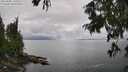 ./images/koeye/fitz-hugh/20250806/fitz-hugh20250806_150509M.jpg