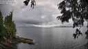 ./images/koeye/fitz-hugh/20250806/fitz-hugh20250806_152511M.jpg