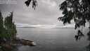 ./images/koeye/fitz-hugh/20250806/fitz-hugh20250806_154510M.jpg