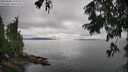 ./images/koeye/fitz-hugh/20250806/fitz-hugh20250806_155011M.jpg