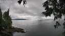 ./images/koeye/fitz-hugh/20250806/fitz-hugh20250806_160011M.jpg