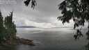 ./images/koeye/fitz-hugh/20250806/fitz-hugh20250806_161008M.jpg
