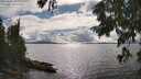 ./images/koeye/fitz-hugh/20250806/fitz-hugh20250806_170012M.jpg