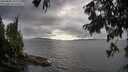 ./images/koeye/fitz-hugh/20250806/fitz-hugh20250806_182010M.jpg