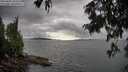 ./images/koeye/fitz-hugh/20250806/fitz-hugh20250806_182510M.jpg