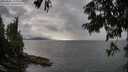 ./images/koeye/fitz-hugh/20250806/fitz-hugh20250806_184510M.jpg