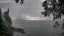 ./images/koeye/fitz-hugh/20250806/fitz-hugh20250806_190508M.jpg