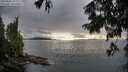 ./images/koeye/fitz-hugh/20250806/fitz-hugh20250806_194008M.jpg