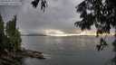 ./images/koeye/fitz-hugh/20250806/fitz-hugh20250806_195009M.jpg