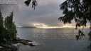 ./images/koeye/fitz-hugh/20250806/fitz-hugh20250806_195509M.jpg