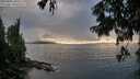 ./images/koeye/fitz-hugh/20250806/fitz-hugh20250806_200509M.jpg