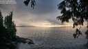 ./images/koeye/fitz-hugh/20250806/fitz-hugh20250806_201506M.jpg