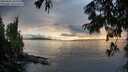 ./images/koeye/fitz-hugh/20250806/fitz-hugh20250806_202509M.jpg