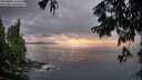 ./images/koeye/fitz-hugh/20250806/fitz-hugh20250806_211509M.jpg