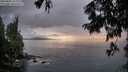 ./images/koeye/fitz-hugh/20250806/fitz-hugh20250806_212008M.jpg