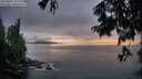 ./images/koeye/fitz-hugh/20250806/fitz-hugh20250806_212509M.jpg
