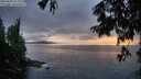 ./images/koeye/fitz-hugh/20250806/fitz-hugh20250806_213009M.jpg