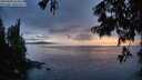 ./images/koeye/fitz-hugh/20250806/fitz-hugh20250806_213509M.jpg