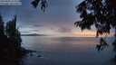 ./images/koeye/fitz-hugh/20250806/fitz-hugh20250806_214010M.jpg