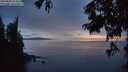 ./images/koeye/fitz-hugh/20250806/fitz-hugh20250806_214508M.jpg