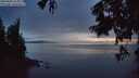 ./images/koeye/fitz-hugh/20250806/fitz-hugh20250806_215008M.jpg