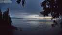 ./images/koeye/fitz-hugh/20250806/fitz-hugh20250806_215508M.jpg