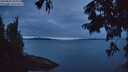 ./images/koeye/fitz-hugh/20250807/fitz-hugh20250807_053010M.jpg