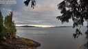 ./images/koeye/fitz-hugh/20250807/fitz-hugh20250807_064010M.jpg