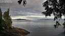 ./images/koeye/fitz-hugh/20250807/fitz-hugh20250807_071509M.jpg