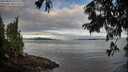 ./images/koeye/fitz-hugh/20250807/fitz-hugh20250807_072510M.jpg