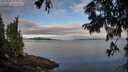 ./images/koeye/fitz-hugh/20250807/fitz-hugh20250807_074011M.jpg