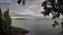 ./images/koeye/fitz-hugh/20250807/fitz-hugh20250807_075011M.jpg