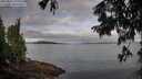./images/koeye/fitz-hugh/20250807/fitz-hugh20250807_075510M.jpg