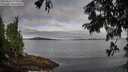 ./images/koeye/fitz-hugh/20250807/fitz-hugh20250807_080012M.jpg