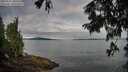 ./images/koeye/fitz-hugh/20250807/fitz-hugh20250807_080509M.jpg