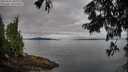 ./images/koeye/fitz-hugh/20250807/fitz-hugh20250807_083012M.jpg