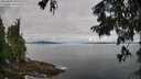 ./images/koeye/fitz-hugh/20250807/fitz-hugh20250807_085509M.jpg