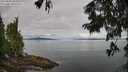 ./images/koeye/fitz-hugh/20250807/fitz-hugh20250807_090011M.jpg