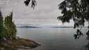 ./images/koeye/fitz-hugh/20250807/fitz-hugh20250807_090510M.jpg