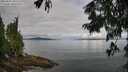 ./images/koeye/fitz-hugh/20250807/fitz-hugh20250807_091511M.jpg
