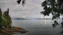 ./images/koeye/fitz-hugh/20250807/fitz-hugh20250807_092011M.jpg