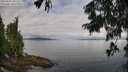./images/koeye/fitz-hugh/20250807/fitz-hugh20250807_093508M.jpg