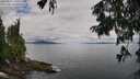 ./images/koeye/fitz-hugh/20250807/fitz-hugh20250807_100510M.jpg
