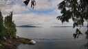 ./images/koeye/fitz-hugh/20250807/fitz-hugh20250807_102510M.jpg
